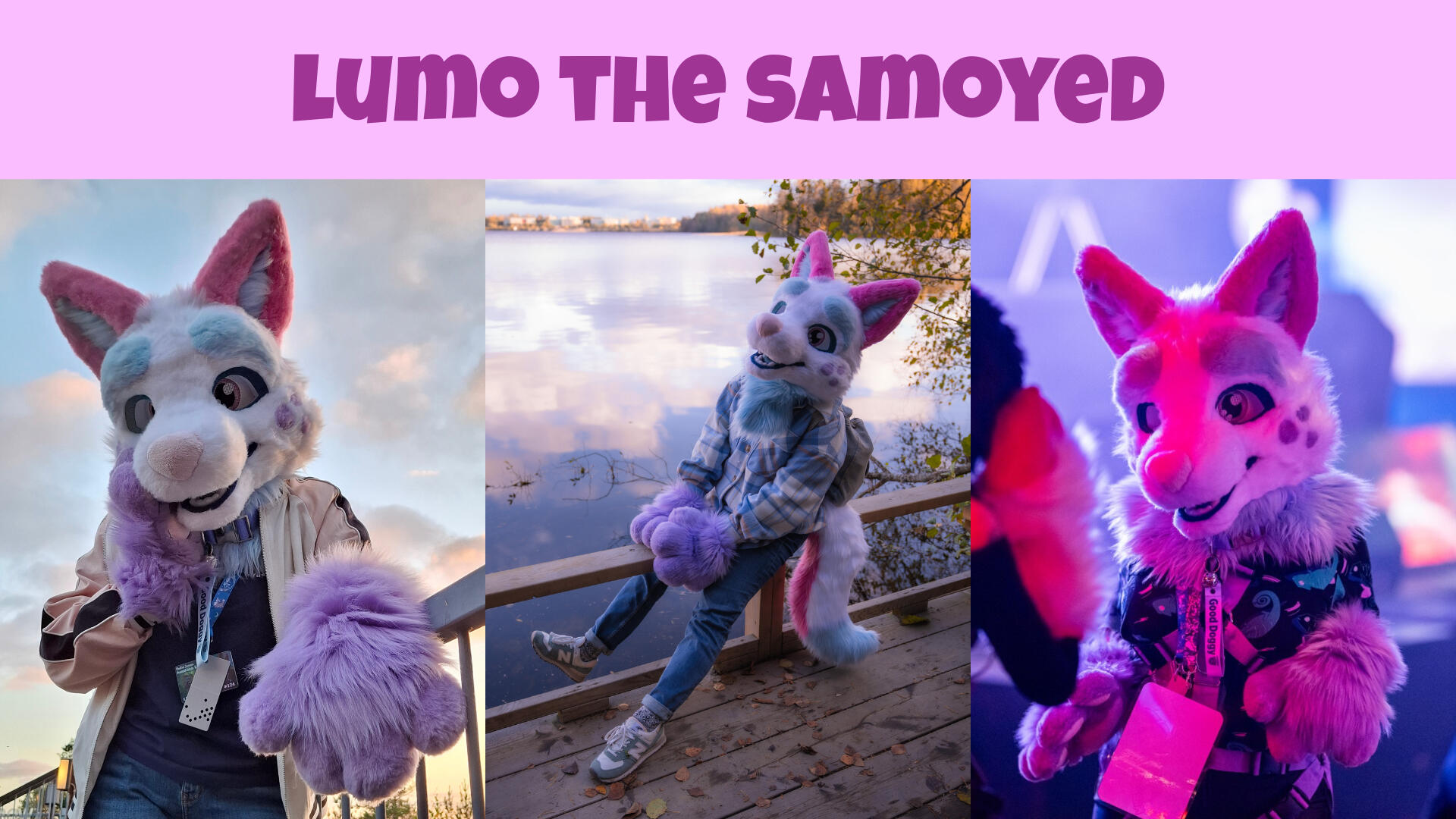 LUMO THE SAMOYED, MINI PARTIAL